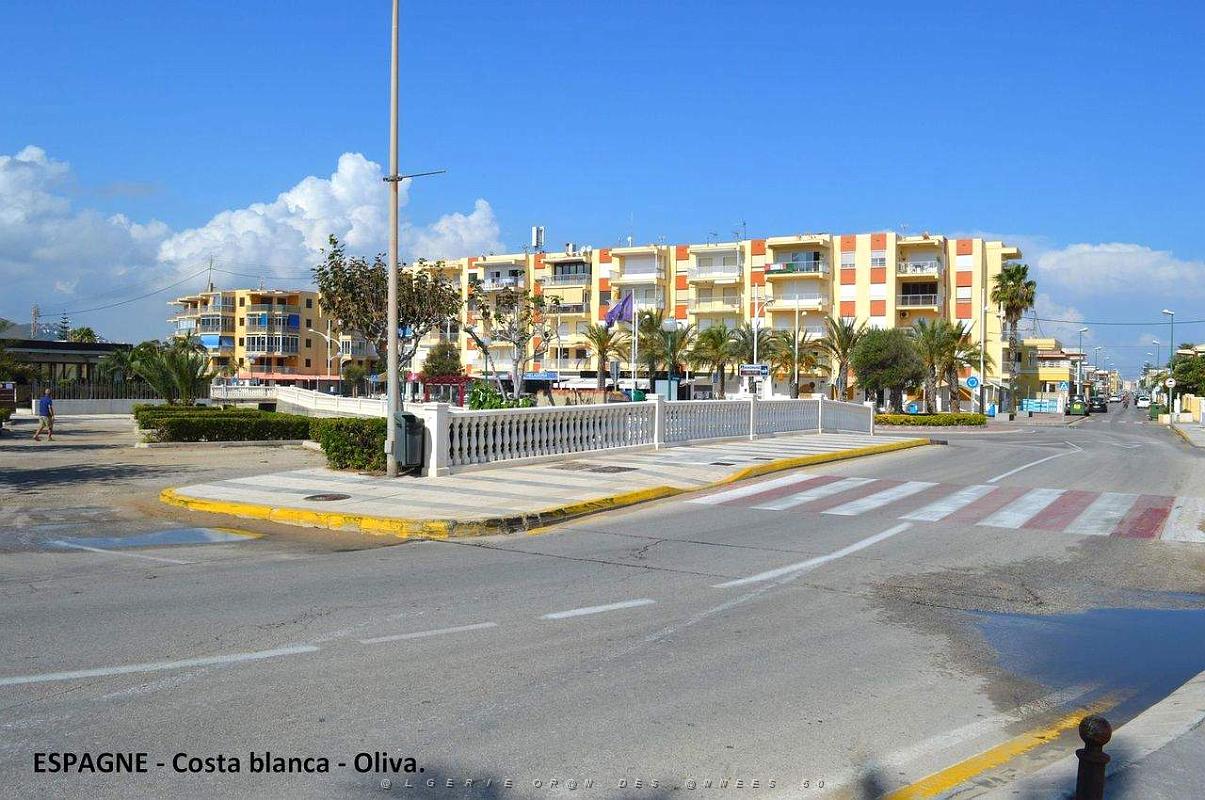 198- Oliva.JPG